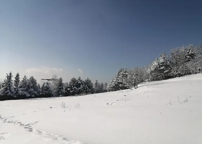 Сasa de vacaciones Góralska Ostoja