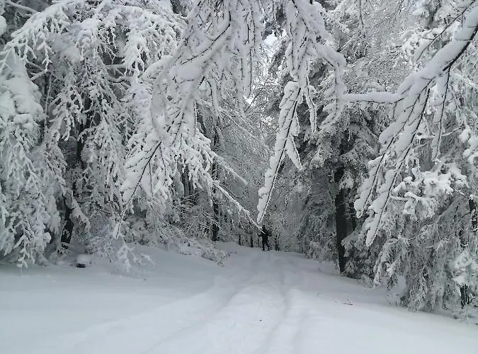 Góralska Ostoja Сasa de vacaciones *