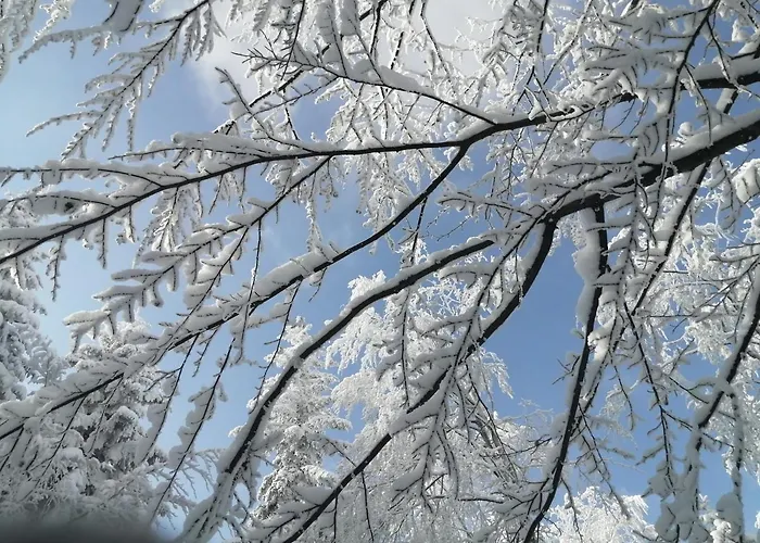 Сasa de vacaciones Góralska Ostoja